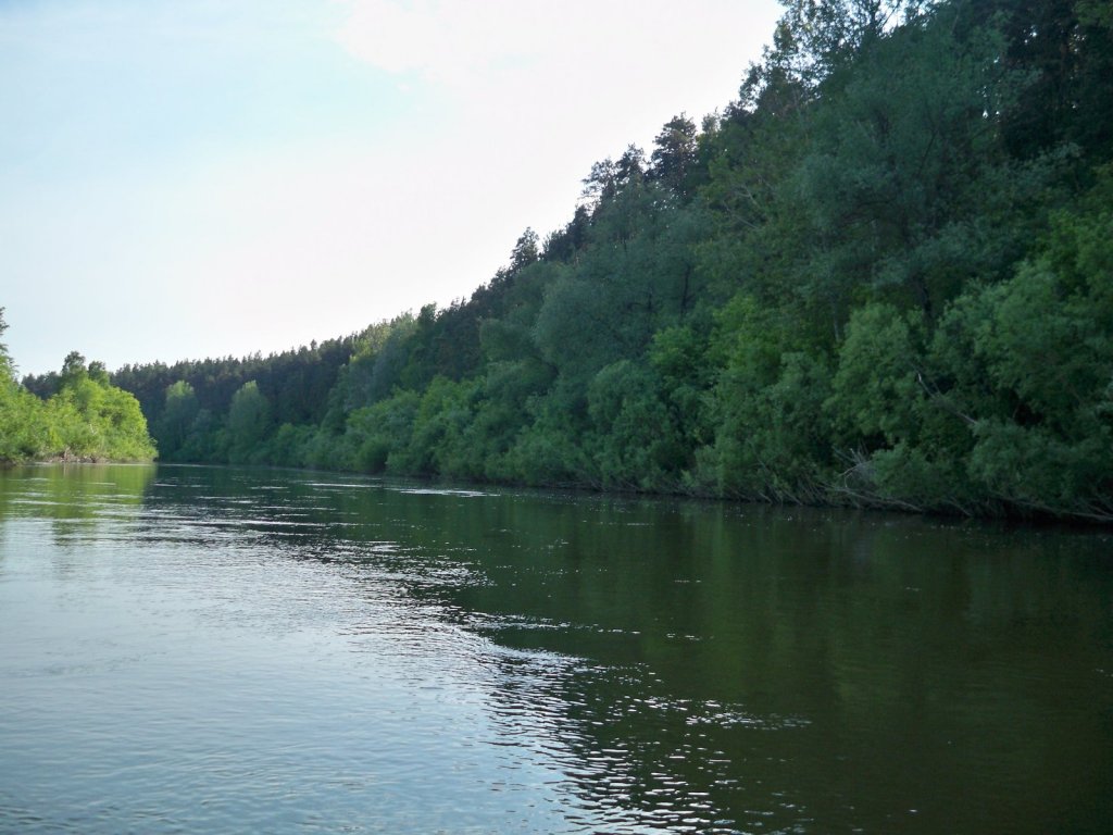 Перед Кудрино