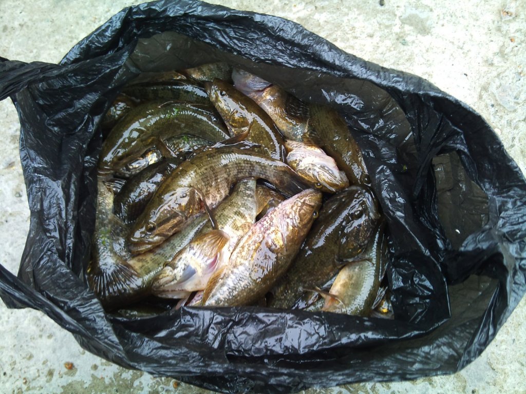 удачное закрытие по открытой воде (по Ротану)