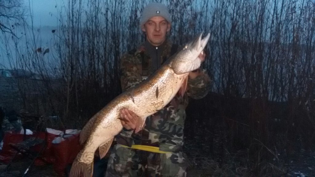 сузун. 8550