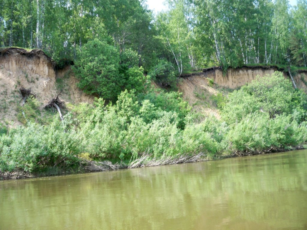 В районе Рожневского бора