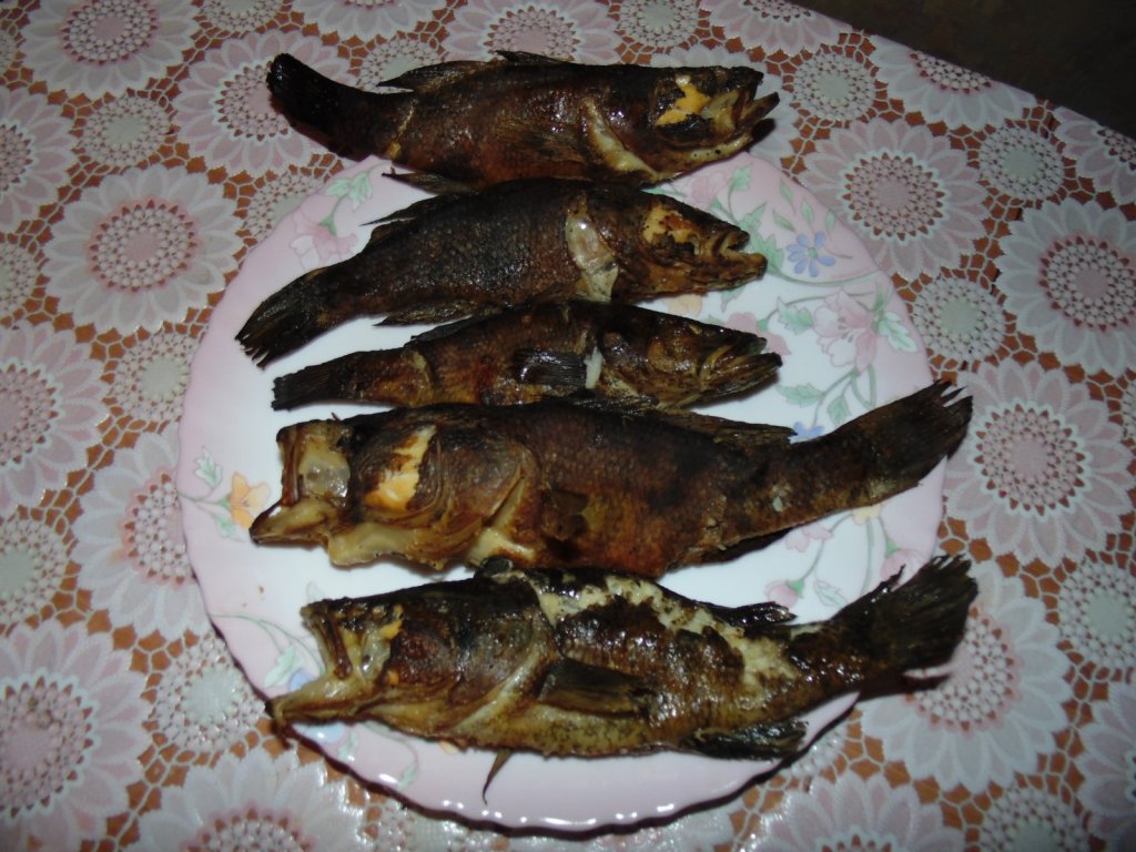 Копченый ротан.
