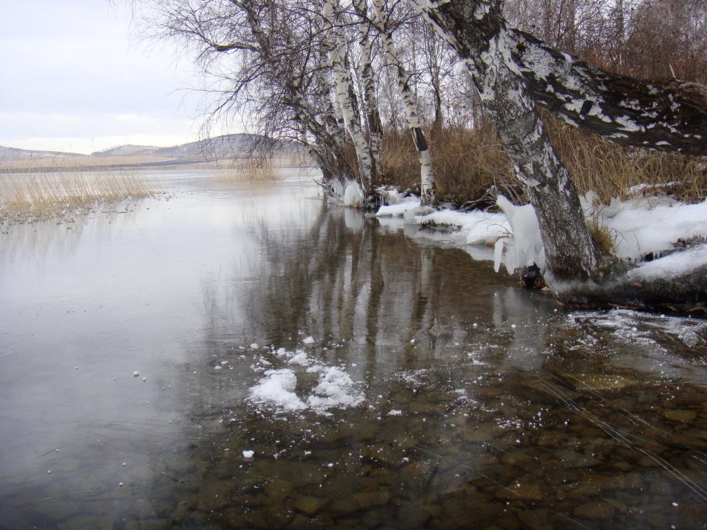 Первая в этом сезоне лунка