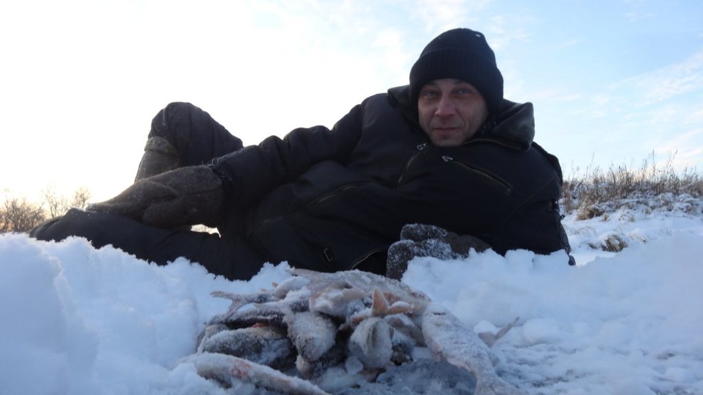 СД и тойская сорога