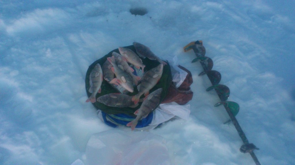 ОВХ 20.12.14.