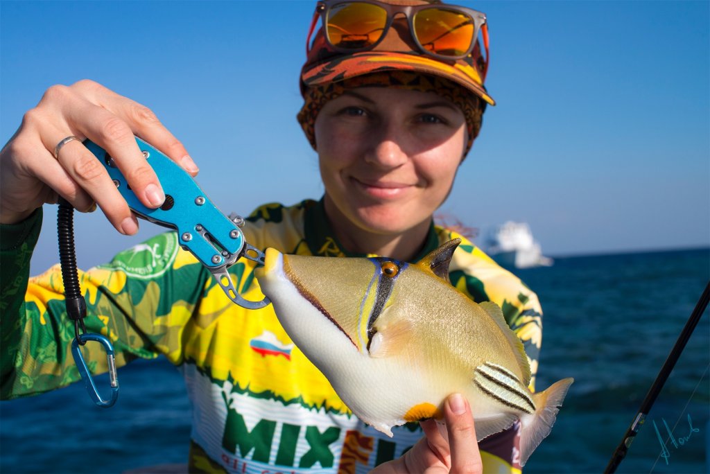 Lenko MixFish и рыба Пикассо