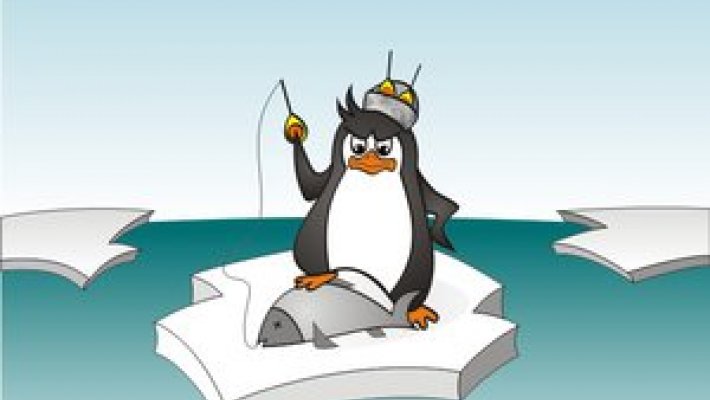 Кубок FishingSib.ru "Суровый Пингвин 2014"
