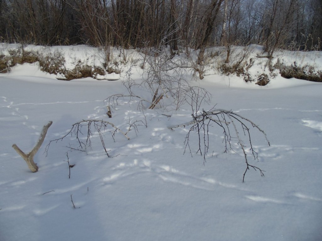 Там на неведомых дорожках...