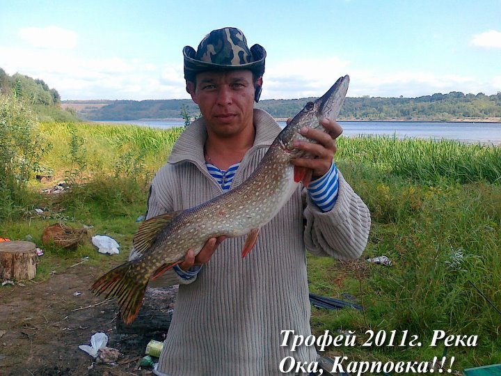 подмостовая щучка