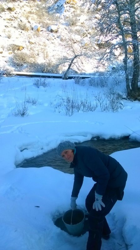 в ведро попалась рыбка