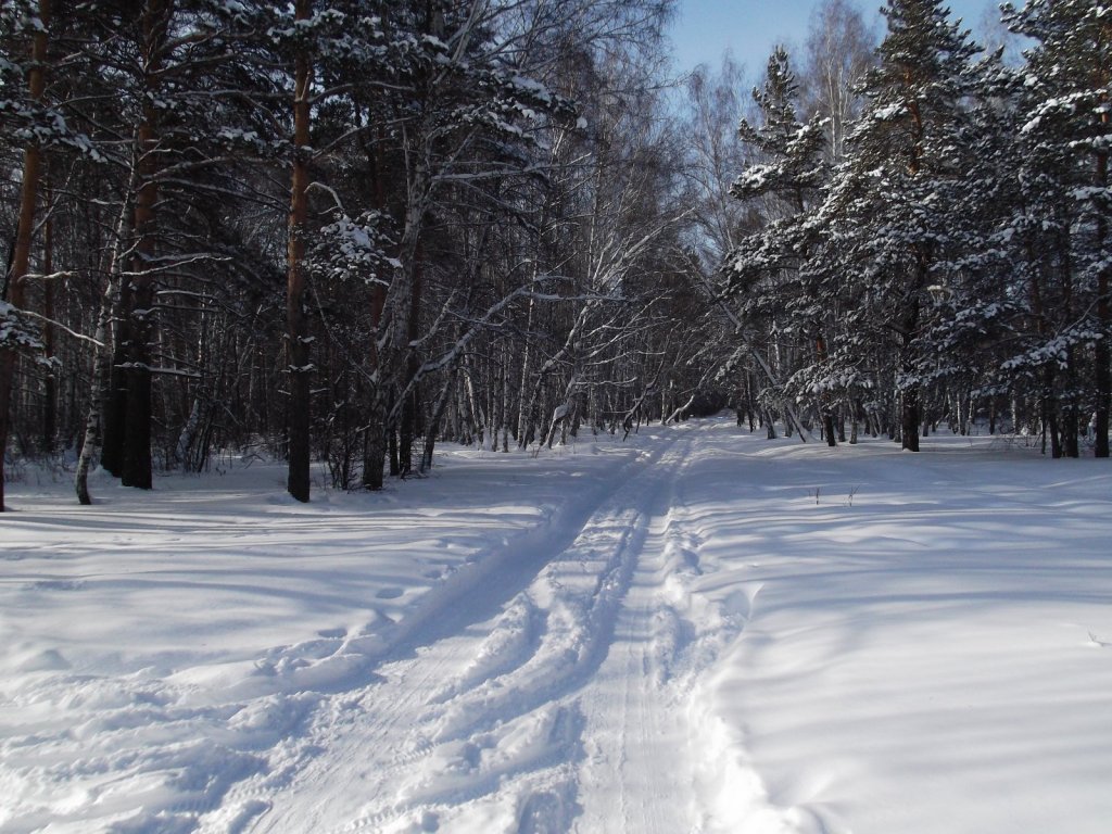 Дорога к морю