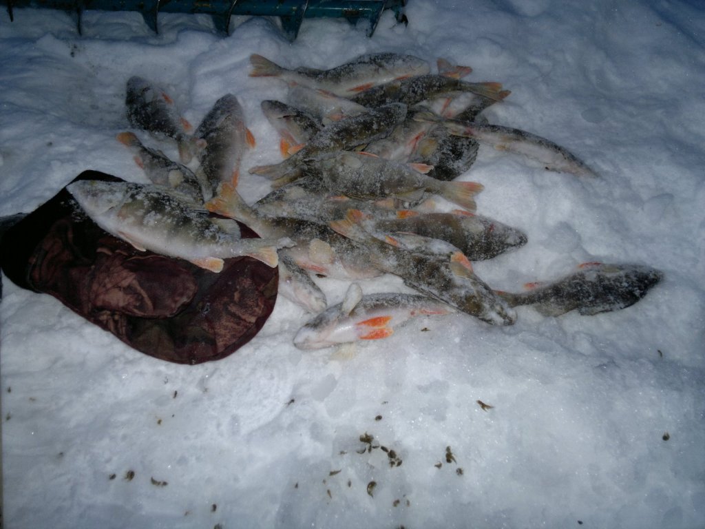 Оёш. 18.01.15