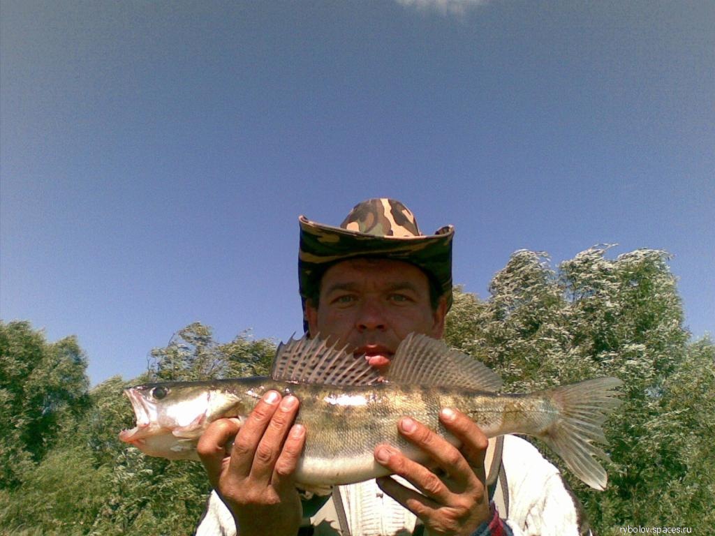 Закрытие 2008