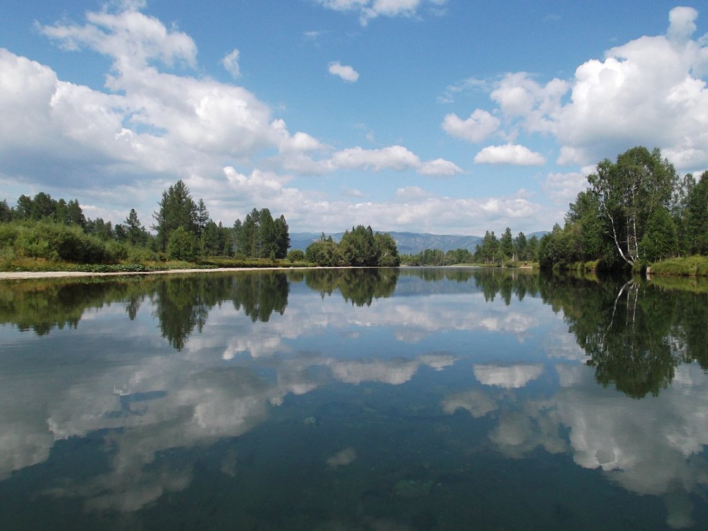 плес на Коксе