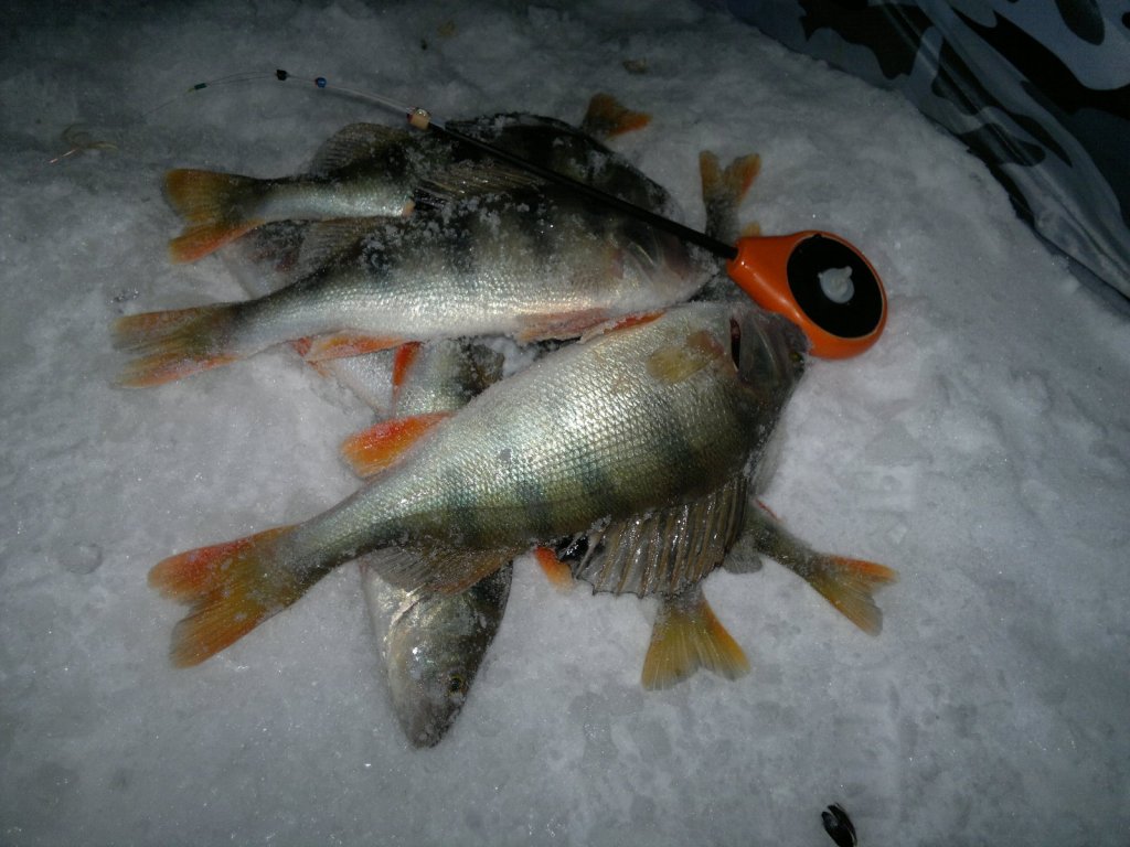 Итог 2ой половины дня. 20.01.15