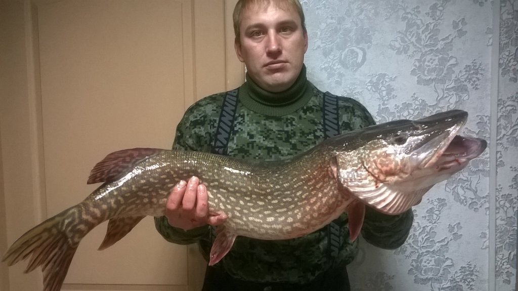 первый снег