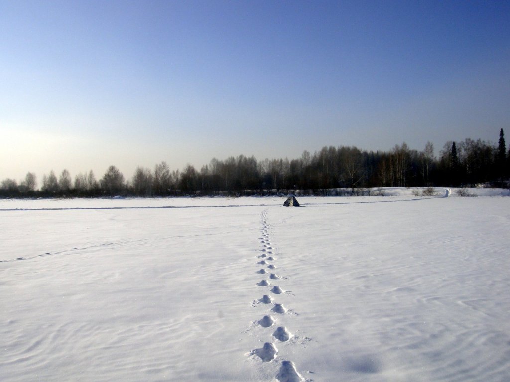 Дальше от палатки не отойду, -30.