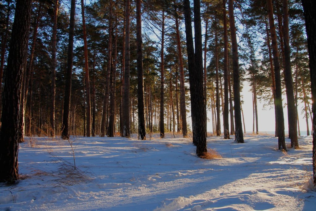 Сегодня, недалеко от Нижнекаменки....