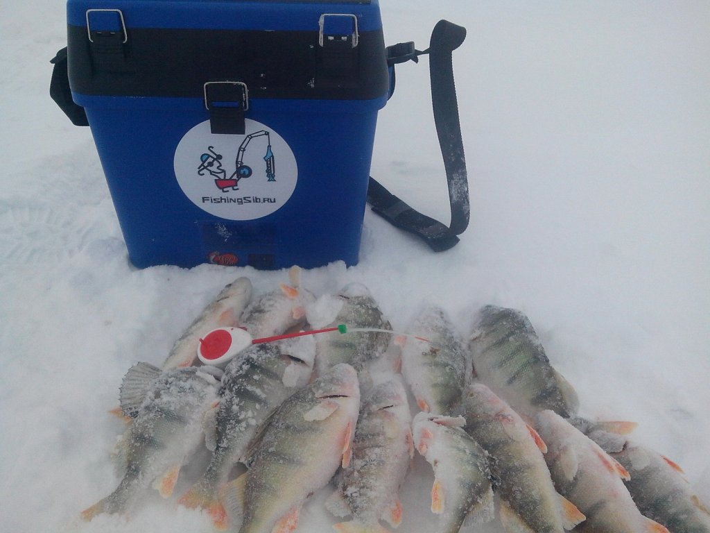Сартлан 23.02.2015