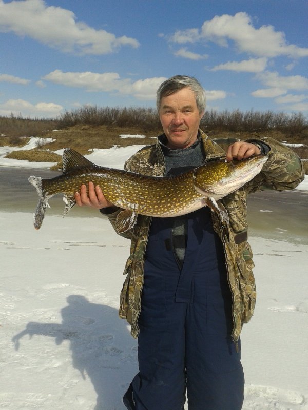 На конкурс