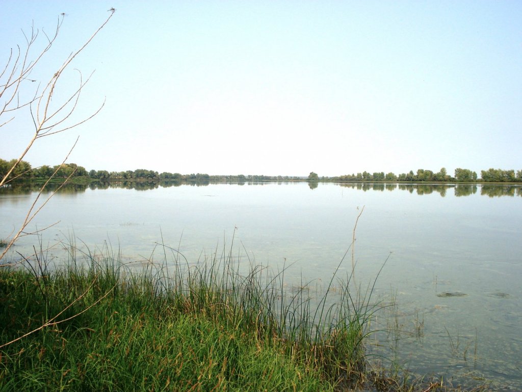 Алтайские красоты