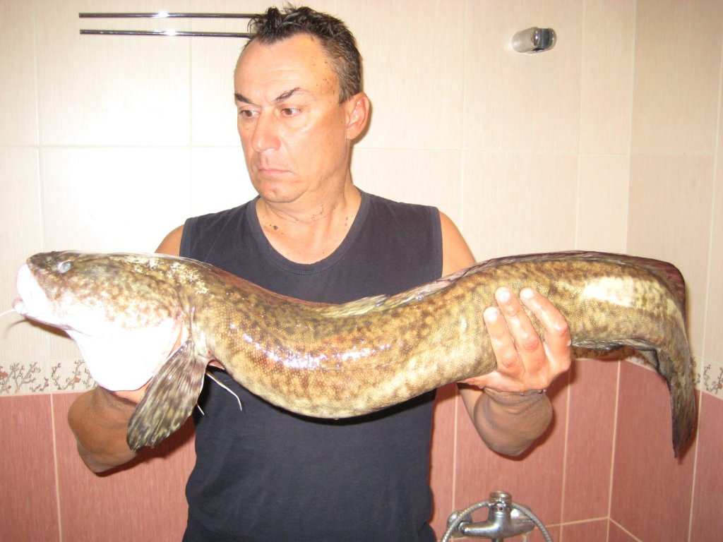 Казусы ракурса