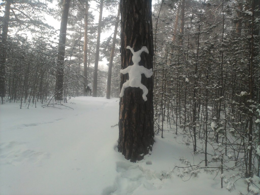 В темно-синем лесу...