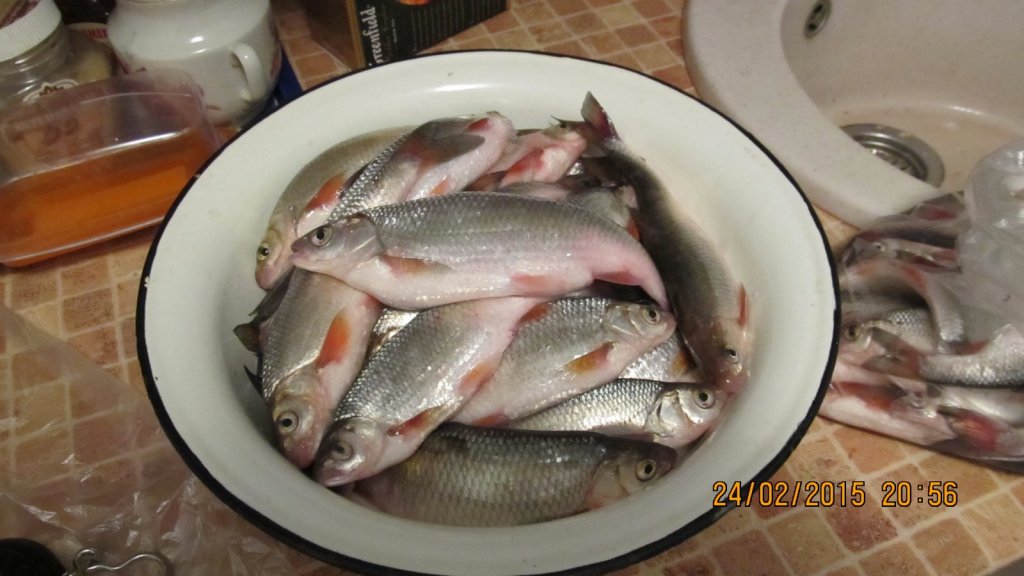 Рыба с Колхозово.