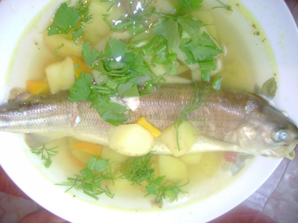 Ушица из енисейского хариуса. На конкурс