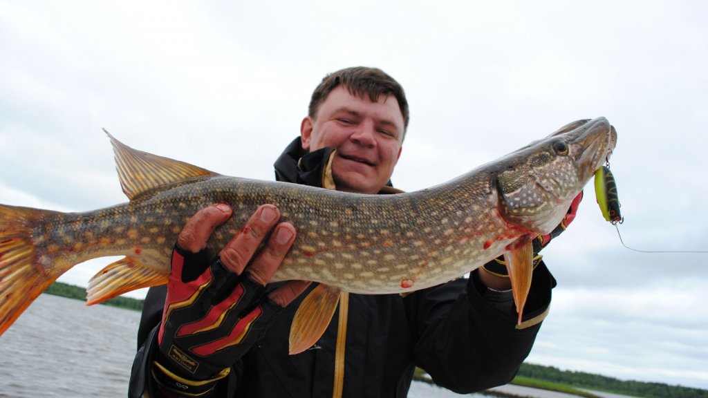 Рассекая водную гладь