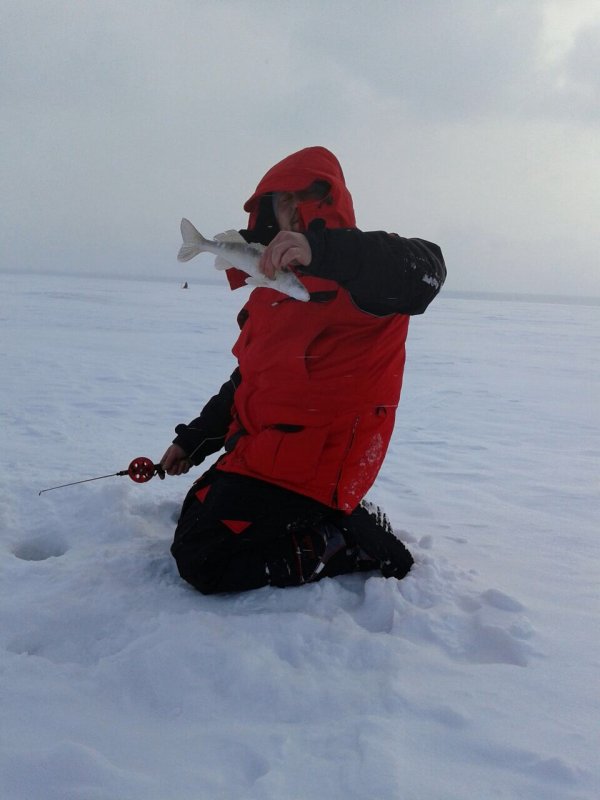 Красный яр 25.02.2015