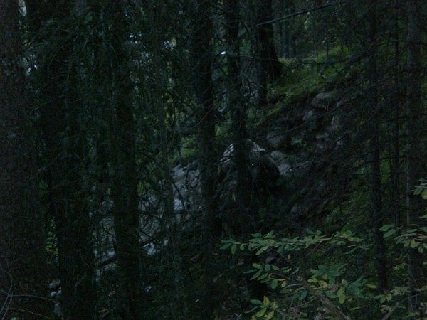 Проплывая мимо, река "Большой казыр"