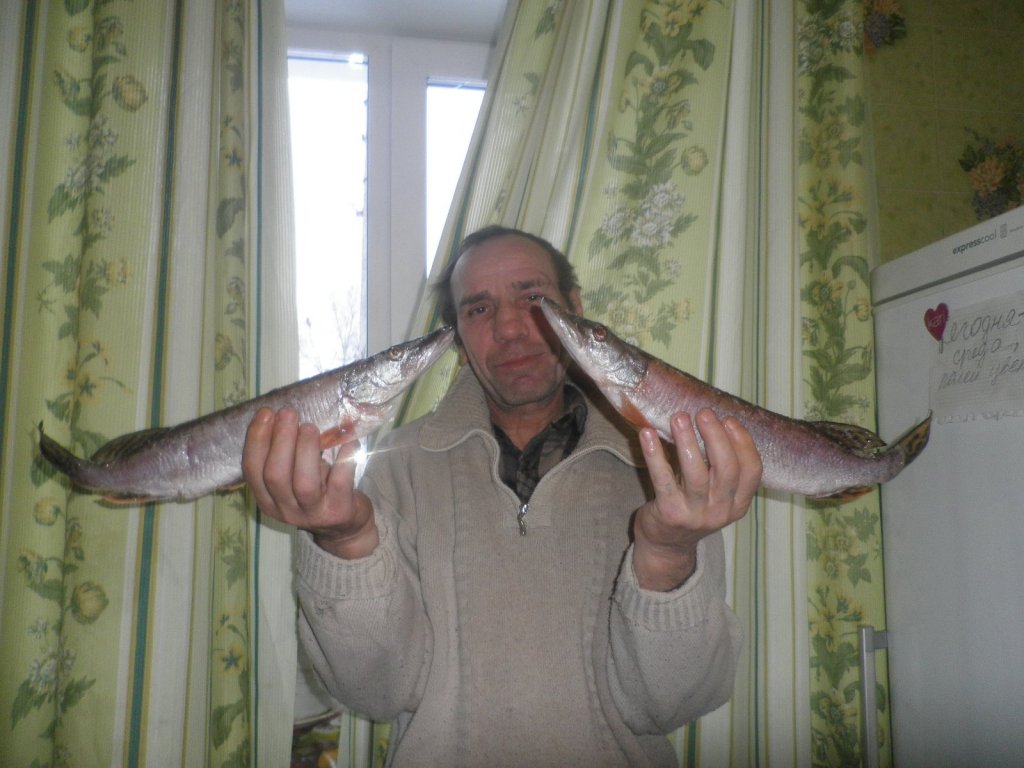 дед (щукарь )