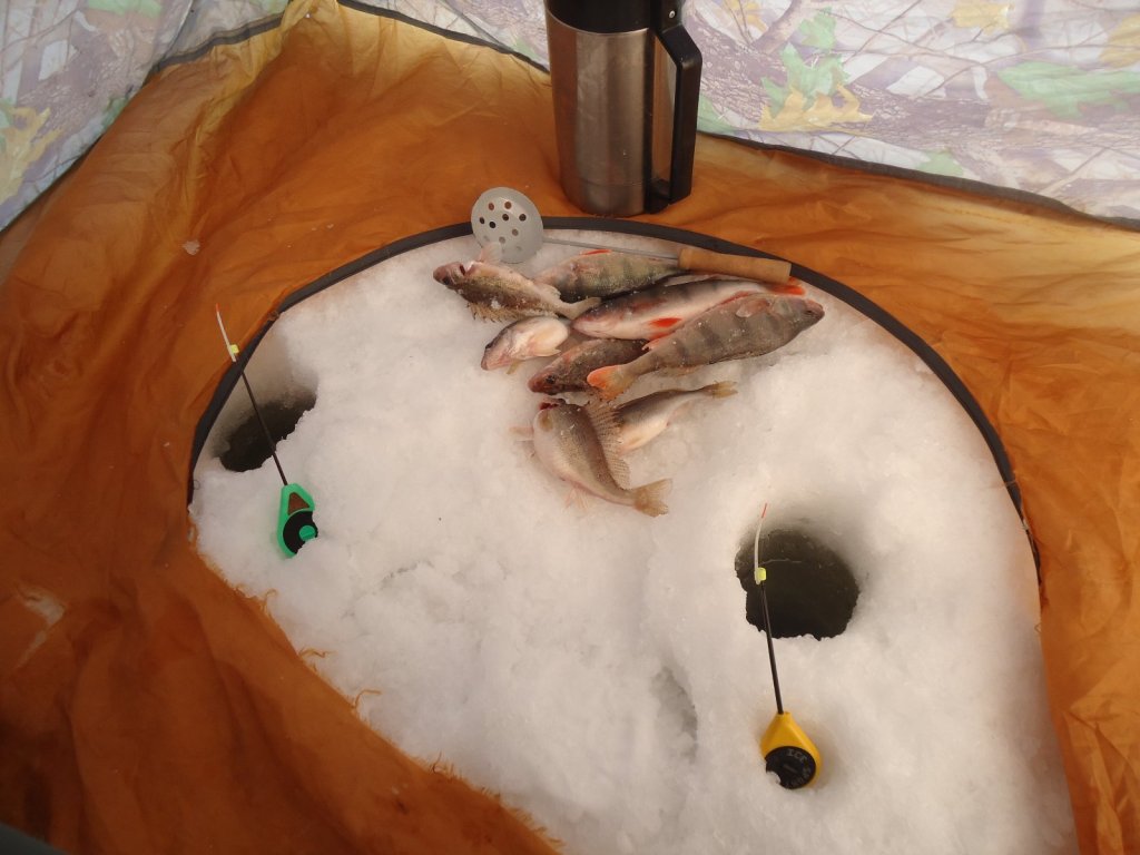 В процессе......