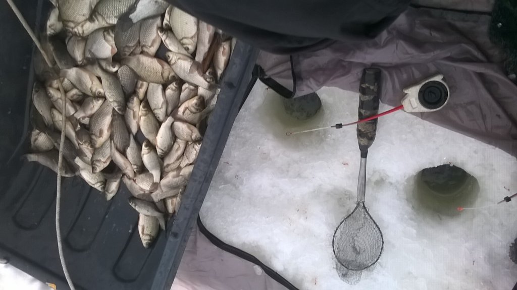 01.01.2015г., Краснозерский район оз. Конево