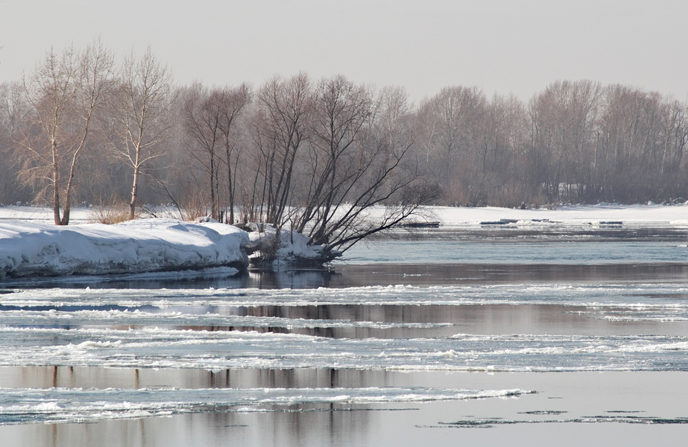 Лёд тронулся, господа присяжные заседатели!