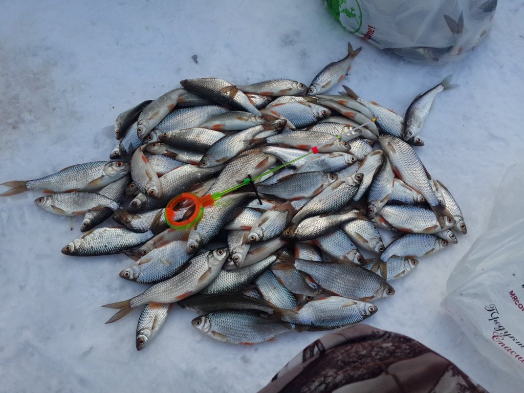 первый раз в Батурино