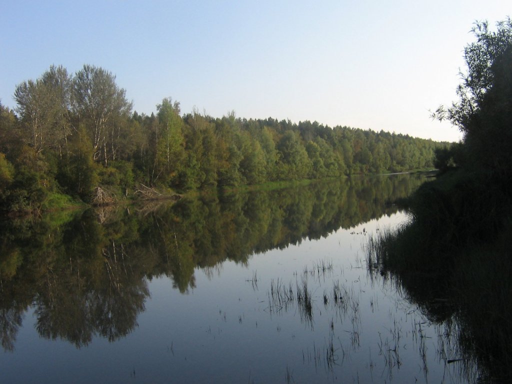 Протока в районе Шумихи