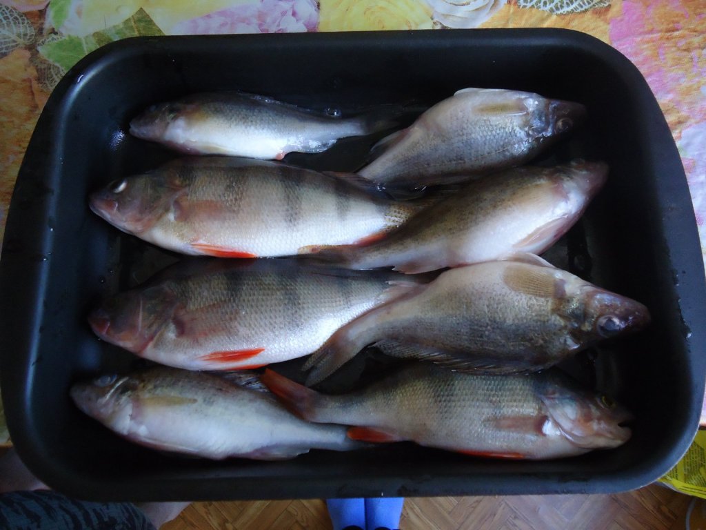 Перед запеканием в духовке.