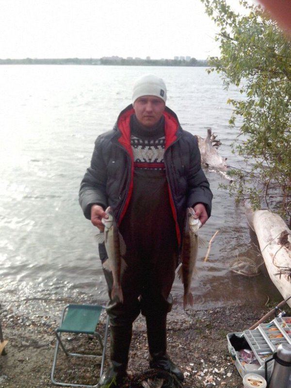 судачки 2014