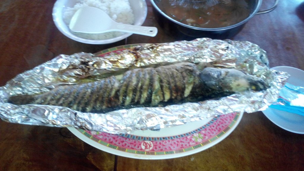 Пойманный змееголов