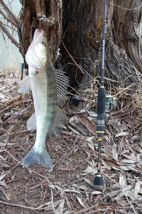 REINS G-TAIL GRUB вне конкуренции