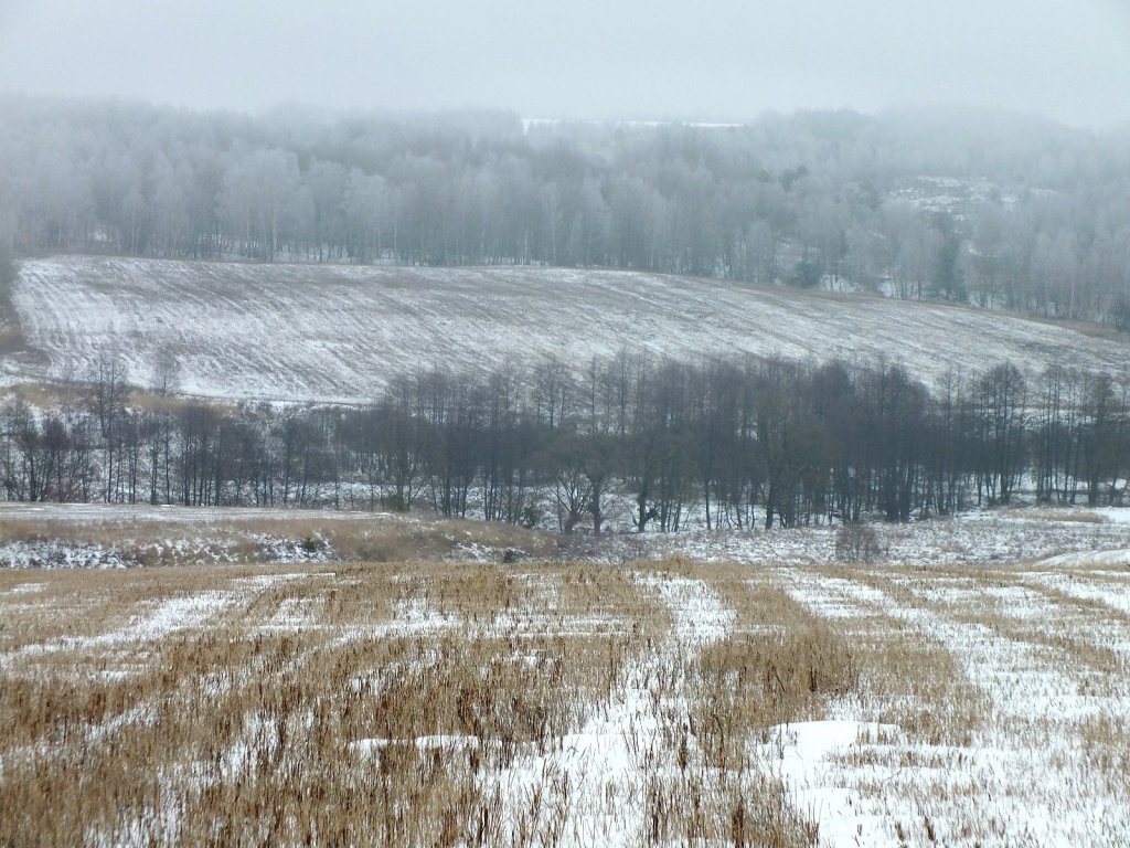 февраль
