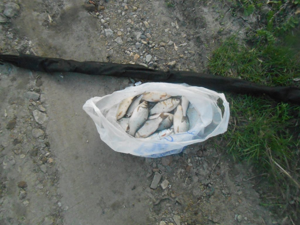 река Тула