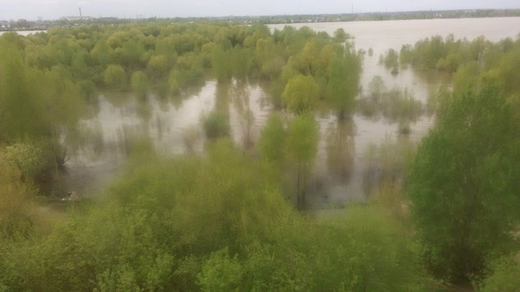 Сухарка.
