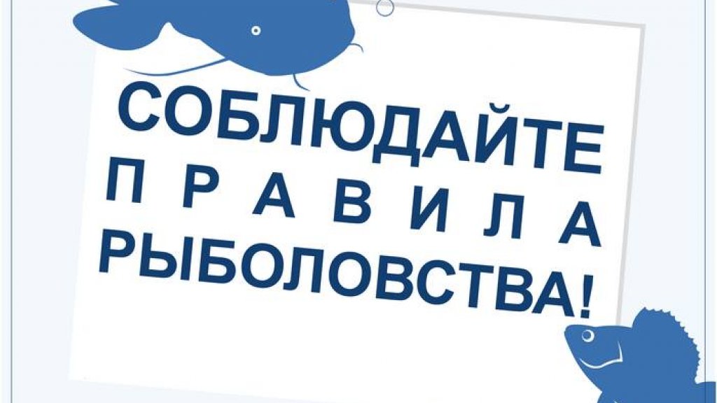Актуальные вопросы от рыбаков