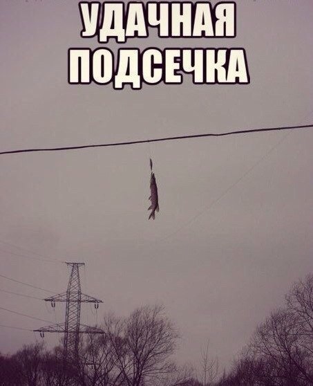 Подсекай правильно!