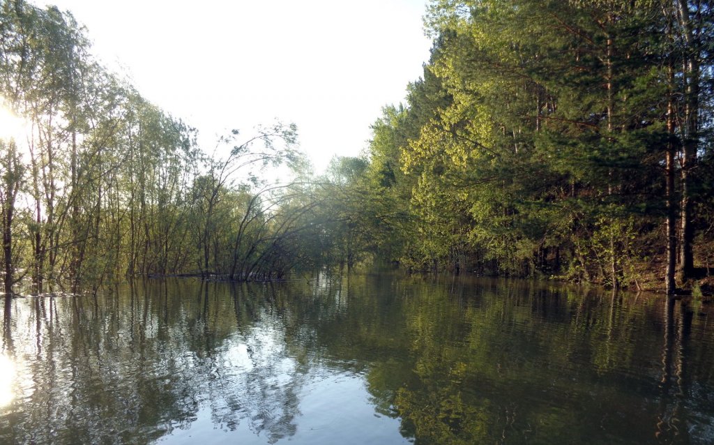 Большая вода р. Обь в районе Белоярки