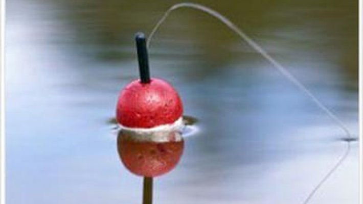 Кубок Fishingsib.ru по ловле рыбы на поплавочную удочку