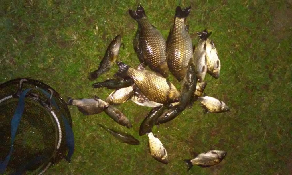 озеро в Боярке