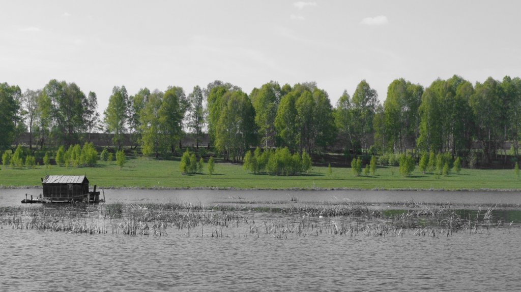 Старожка на воде
